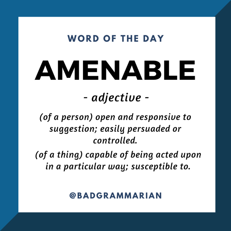 Word of the Day amenable